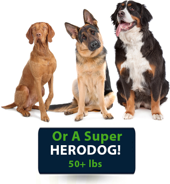 Super Herodog size